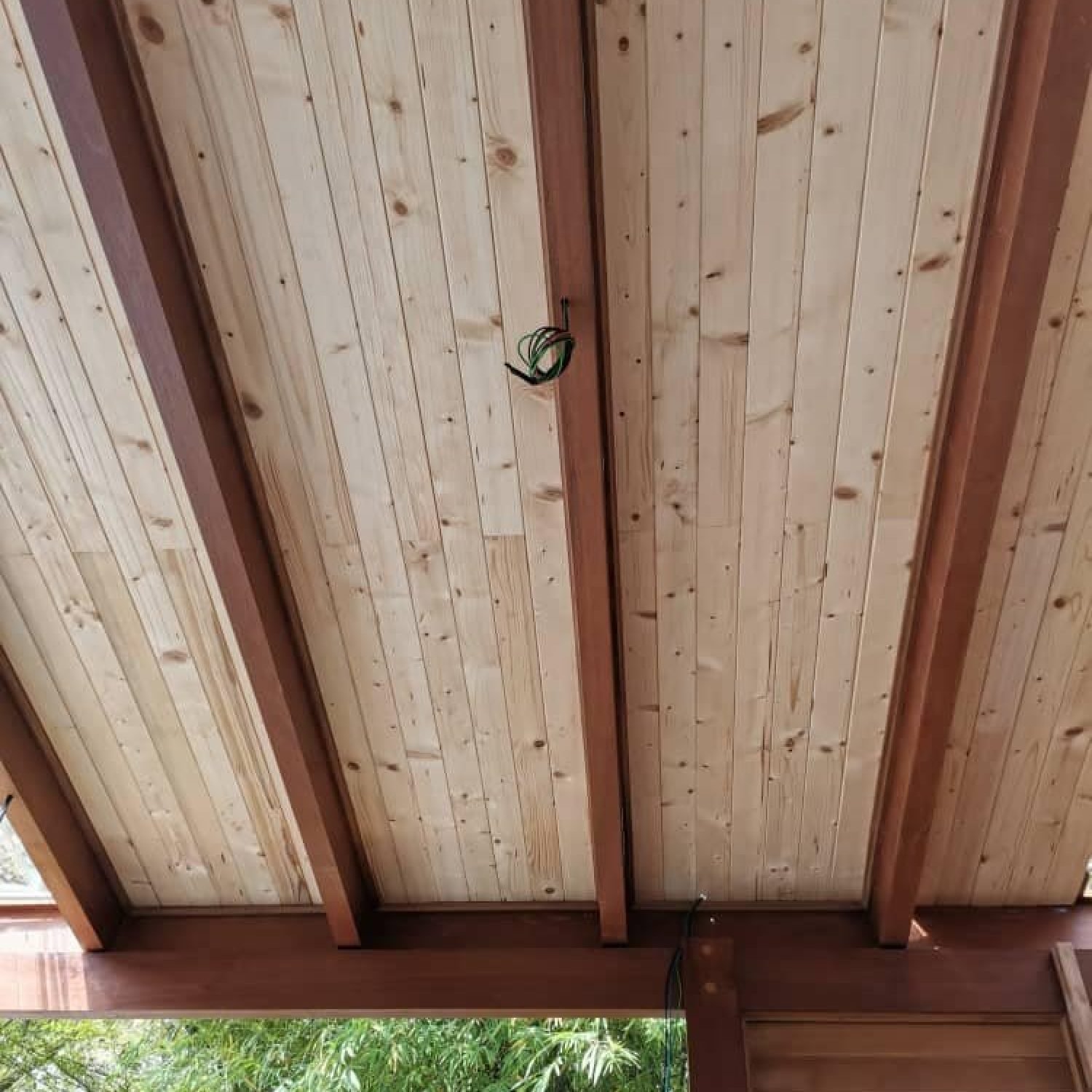 469883855_122179517000126135_5320511811678143368_n