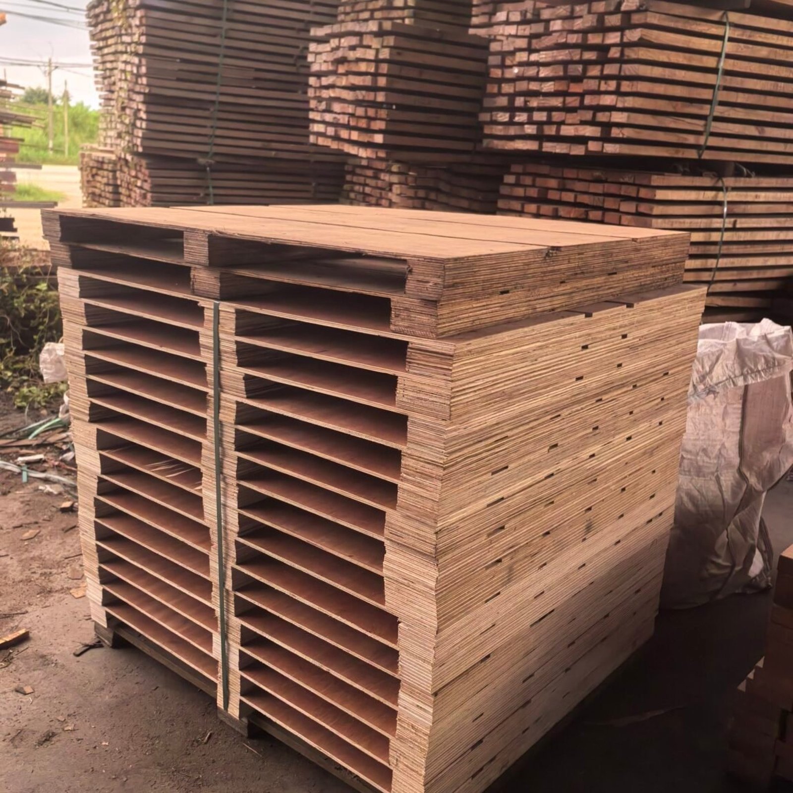 IMG_20250414_191938-1152x1536